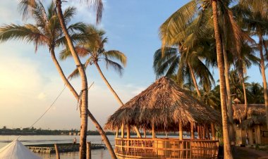 Danh sách khu du lịch sinh thái nổi tiếng tại Bến Tre