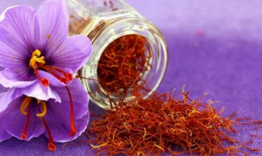 Kinh nghiệm để phân biệt Saffron thật hay giả