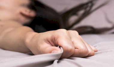 Nhuật bút cho viết bài quảng cáo trên hệ thống website Đa Lộc Tài group