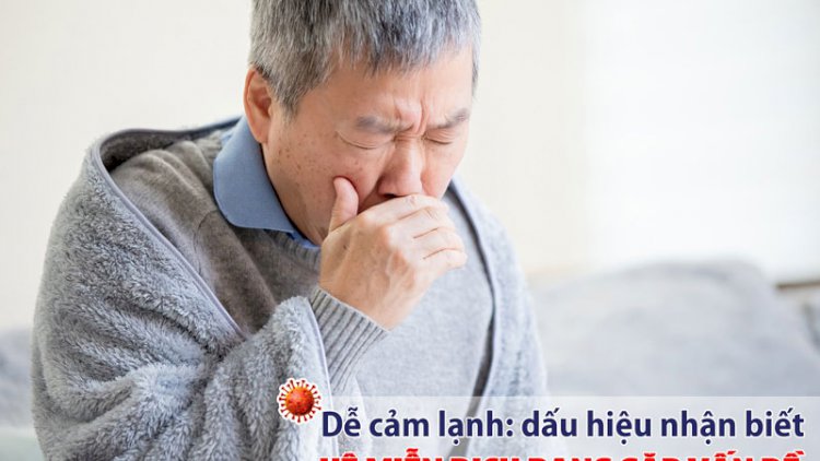 Bổ sung dưỡng chất có lợi cho cơ thể tăng đề kháng