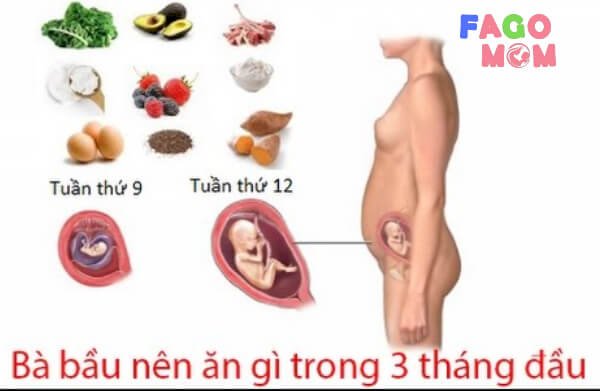 Chế độ dinh dưỡng cho bà mẹ mang thai 3 tháng đầu